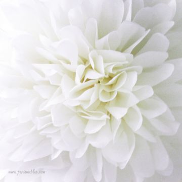 Rosace Pompon Fleur Papier de Soie Blanc
