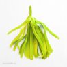 pompon papier de soie vert anis
